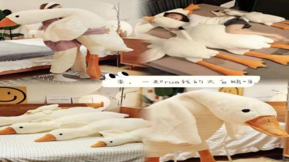 2026亚太雅安新春文化年货节