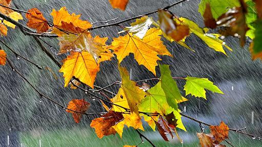 这首词是《鹧鸪天》的绝笔，从此以后词中再无“鹧鸪天”