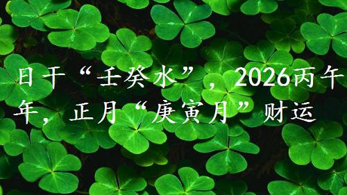日干“壬癸水”，2026丙午年，正月“庚寅月”财运