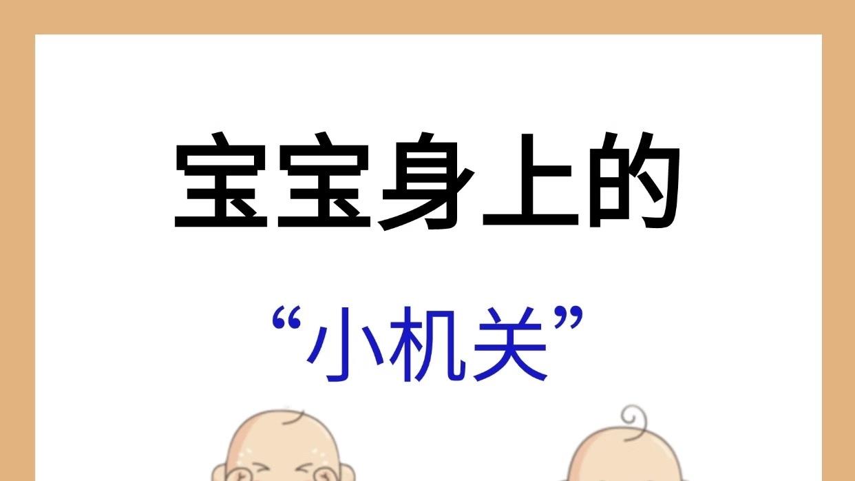 这些小机关，再不玩就没啦👋🏻