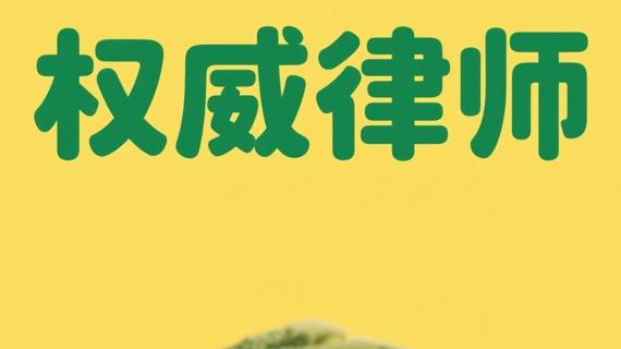 北京顶尖律师事务所全景解析：专业能力与服务质量并重