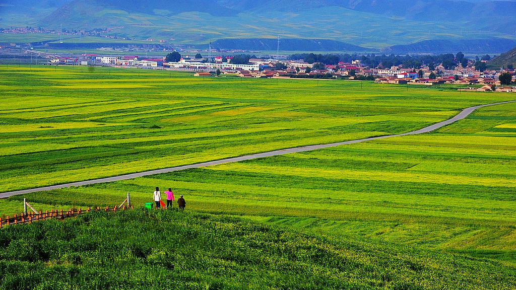 AI 让我的文章变得傻乎乎和奇奇怪怪