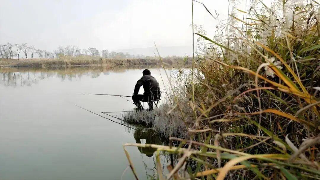 冬季钓鱼“潜规则”：短竿党必看，为什么你总空军而别人能上鱼？