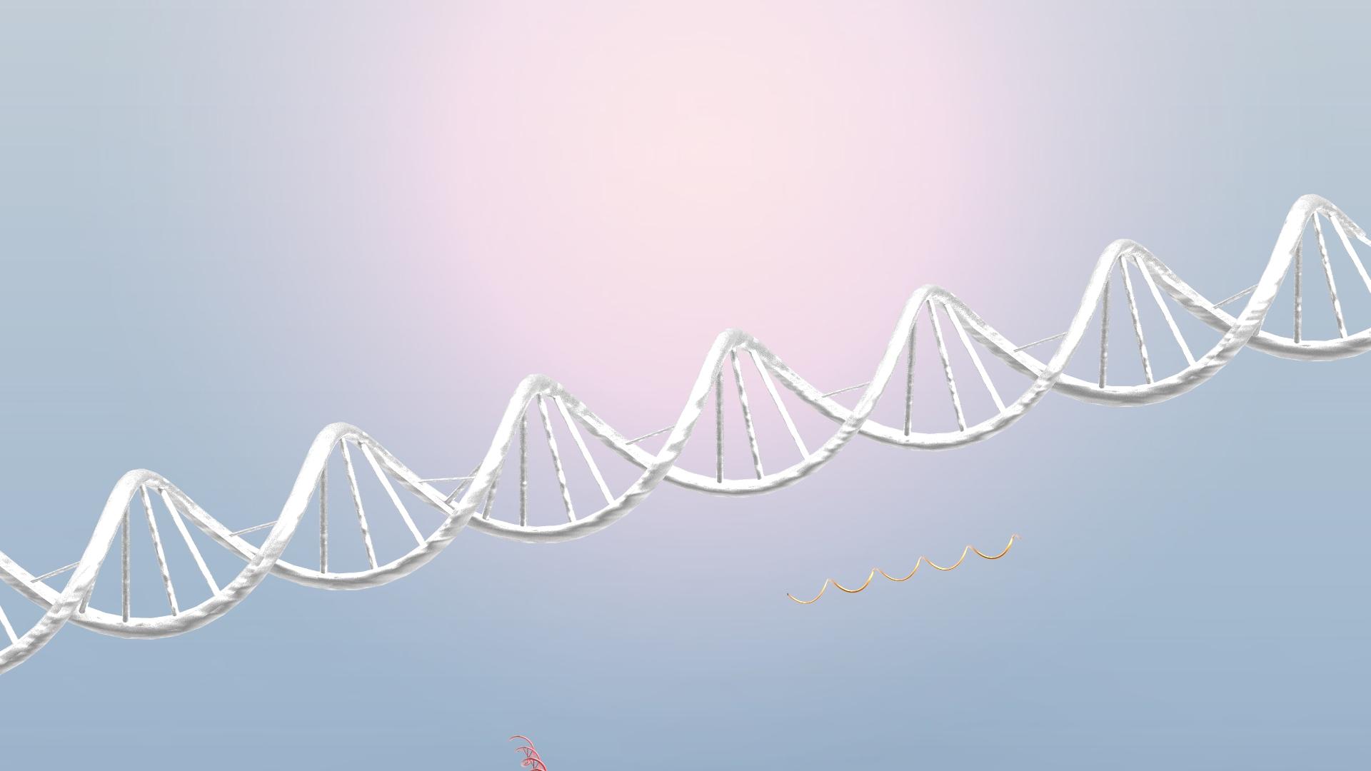 【佳学基因检测】视网膜锥体营养不良1型基因检测准确率达到多少