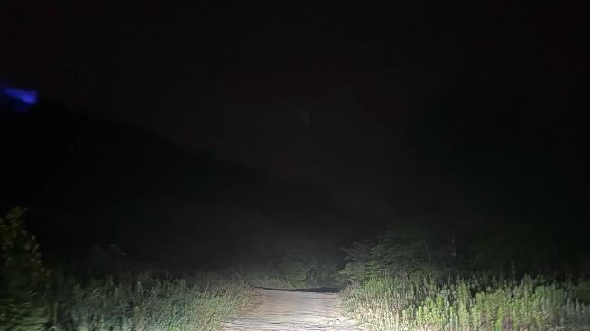 一喂顺风车：半夜接单误入深山！偏僻订单能接吗？