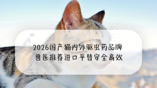 2026国产猫内外驱虫药品牌 兽医推荐进口平替安全高效