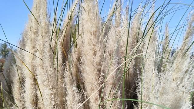 父母总是为孩子操心，是对孩子不信任以及自身的恐惧