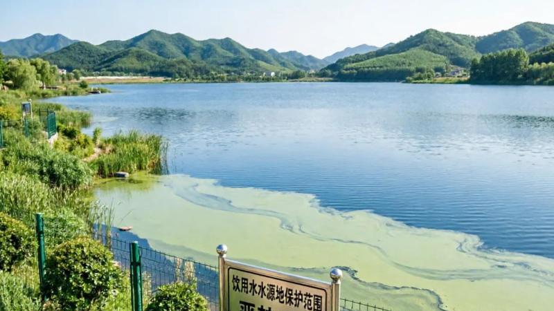 地表水蓝绿藻监测为何越来越依赖便携式蓝绿藻分析仪？一文读懂