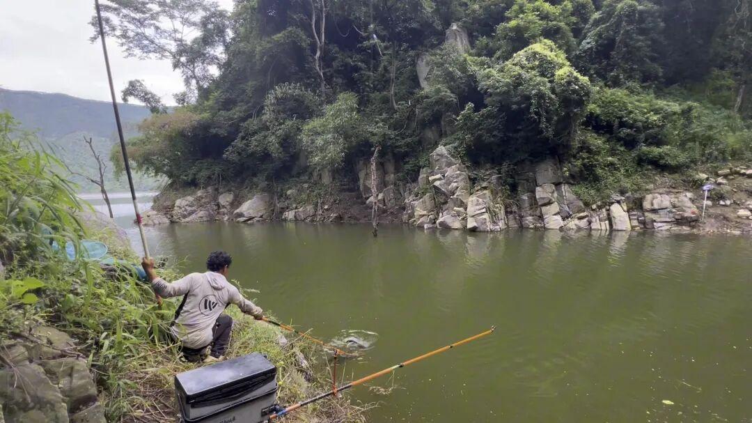 野钓师私藏的找位秘诀：野钓新钓点，这三件事比打窝更重要！