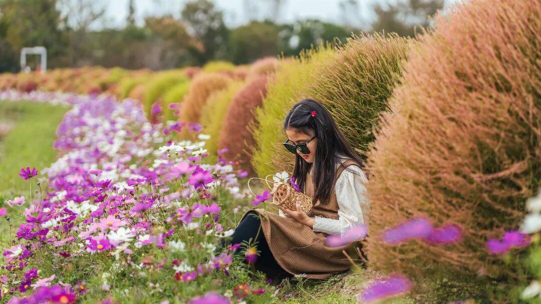 我们这一代，为何拒绝成为“标准大人”？