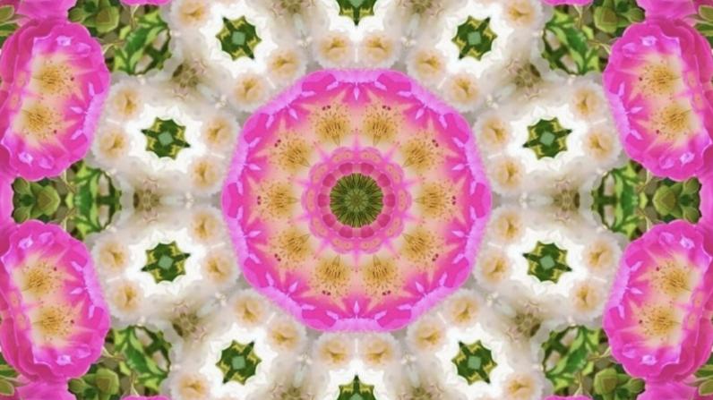 幸福的密码用爱创造，用知足包装