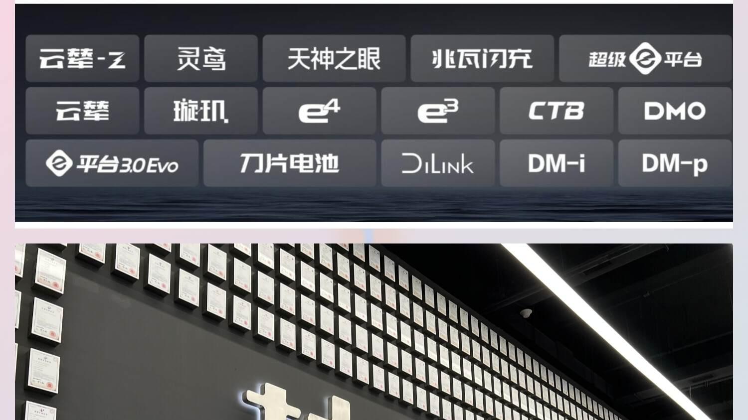 比亚迪老车主复购率超30%，领跑存量市场