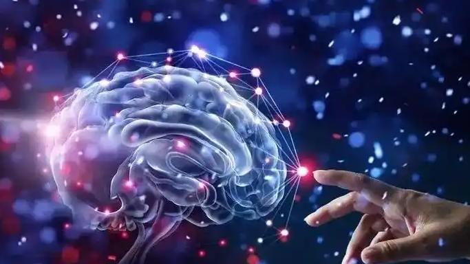 细胞有智慧，你的身体里正上演着怎样一场生命奇迹？