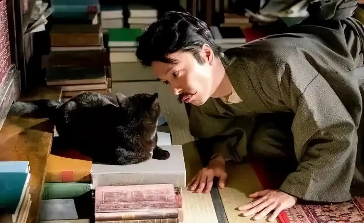 再读夏目漱石的《我是猫》：西化外表下的专制内核