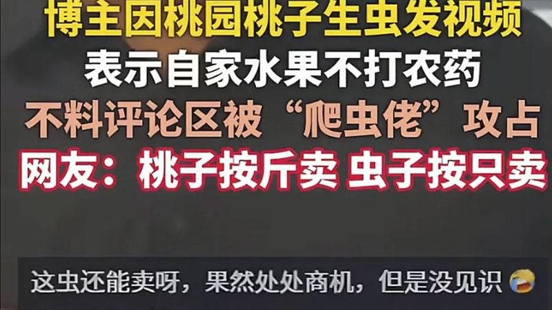 桃农晒桃子生虫，被甲虫爱好者“盯上”，意外解锁新产业