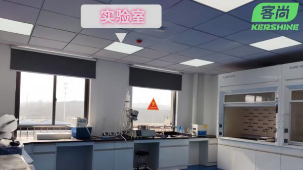 酵母冻干实验：南京客尚生物如何用全水溶技术重新定义β-葡聚糖