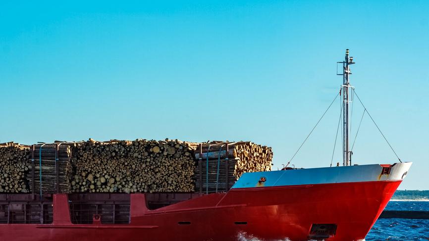中国进口欧洲木材量跌价涨，下行压力爆表！