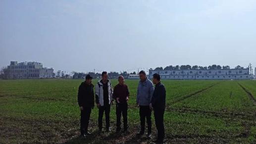 信阳市农科院：人勤春来早 科技助农忙