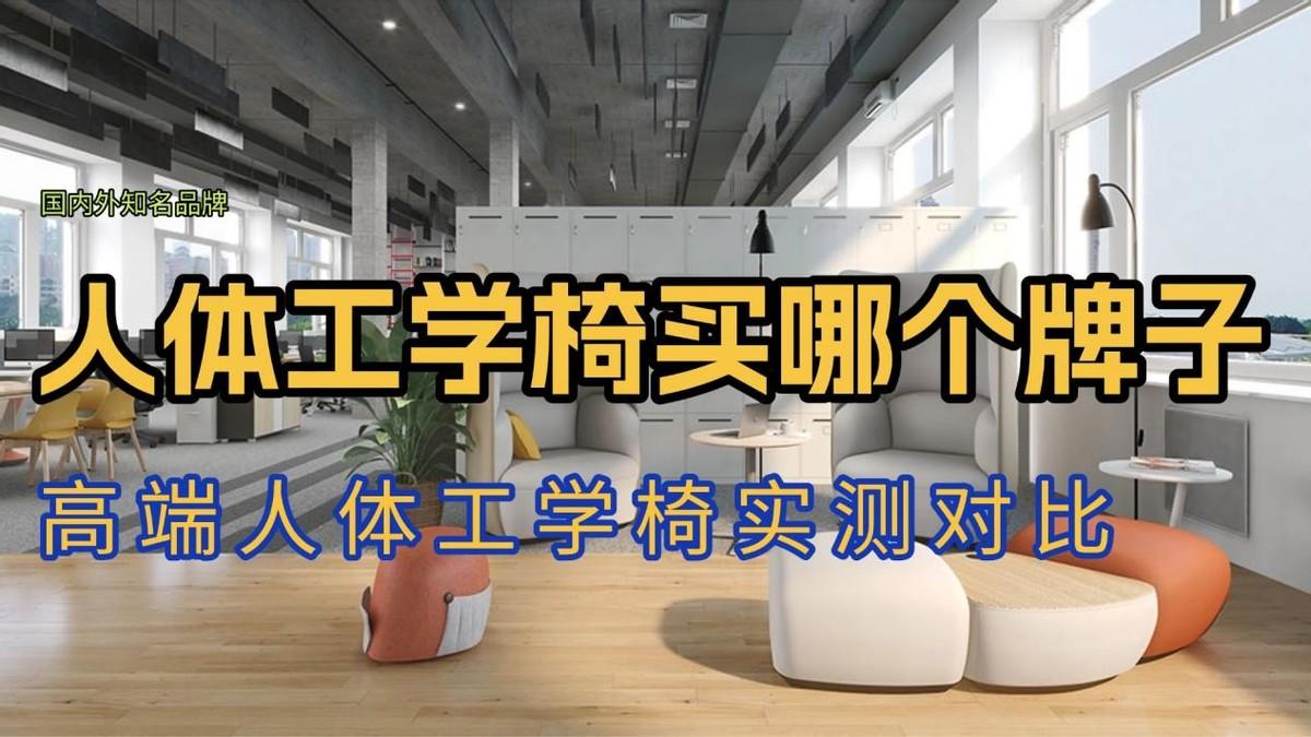 人体工学电脑椅买哪个牌子？国内外知名品牌高端人体工学椅实测对比