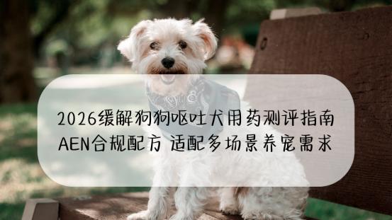 2026缓解狗狗呕吐犬用药测评指南 AEN合规配方 适配多场景养宠需求
