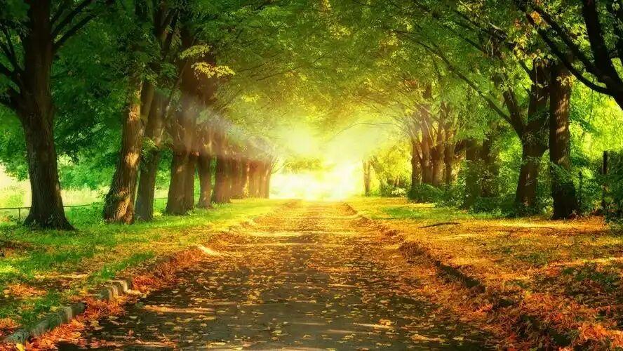 心理学视角：为什么你养不成好习惯？答案藏在“路径依赖”里