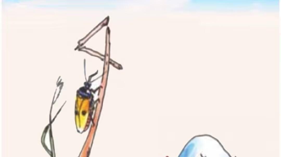 059五角六张·四行元素