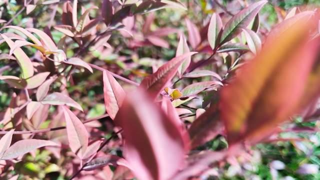 想让孩子从厌学中重启，把命令换成商量，才是让娃能听进去的关键