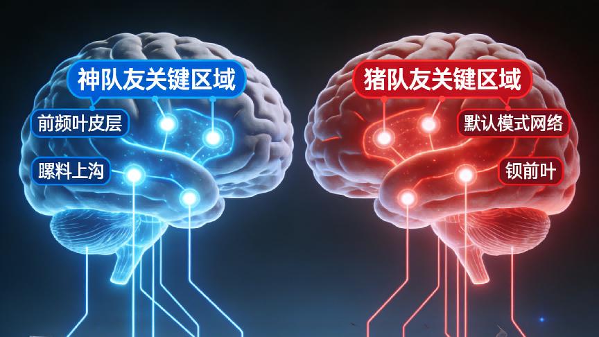 老鼠和 AI 居然学会了同一套 “队友法则”！《科学》证实：合作不是本能是最优解