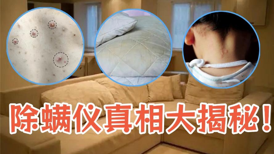 松下和小狗除螨仪哪个好用？2026 热销除螨仪真实测评