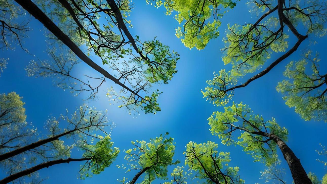 培养“目标思维”，明确方向，才能少走弯路（思维痛点：迷茫无措、没有方向）