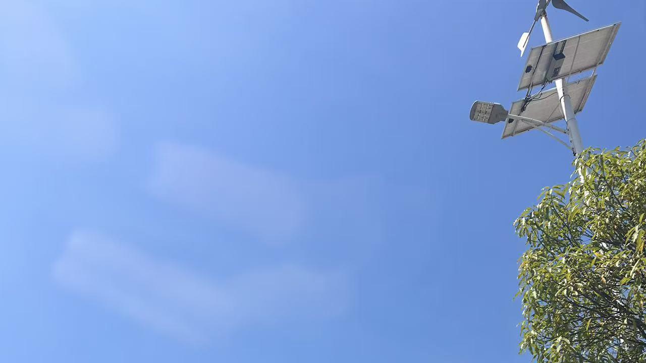 假如不考虑生计，你会做什么工作？