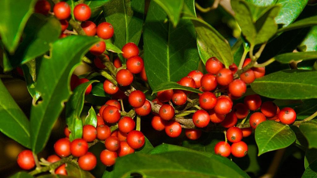 外国人在中国买买买，背后是场消费基建革命