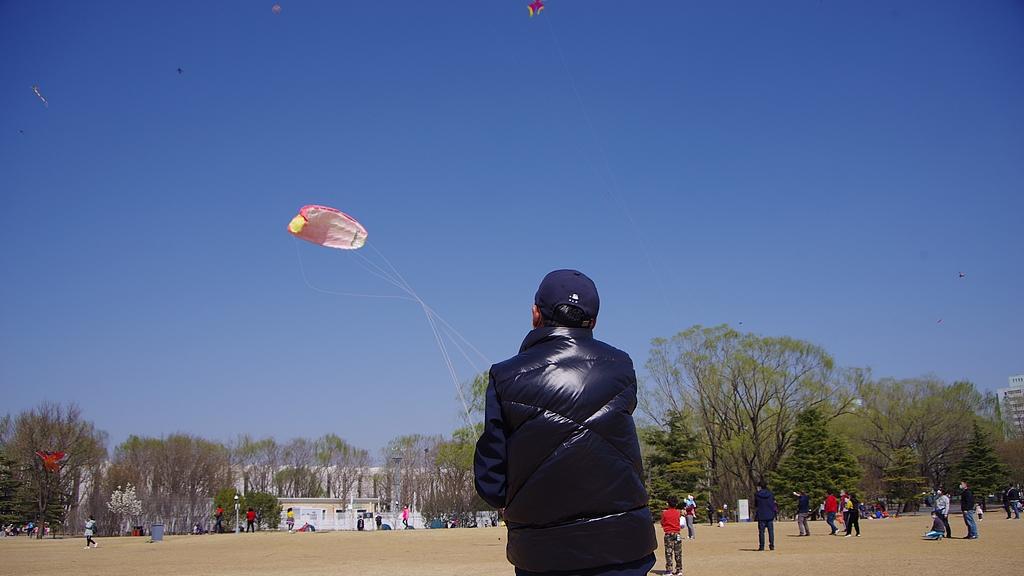 我的爱情，9.9年（八）