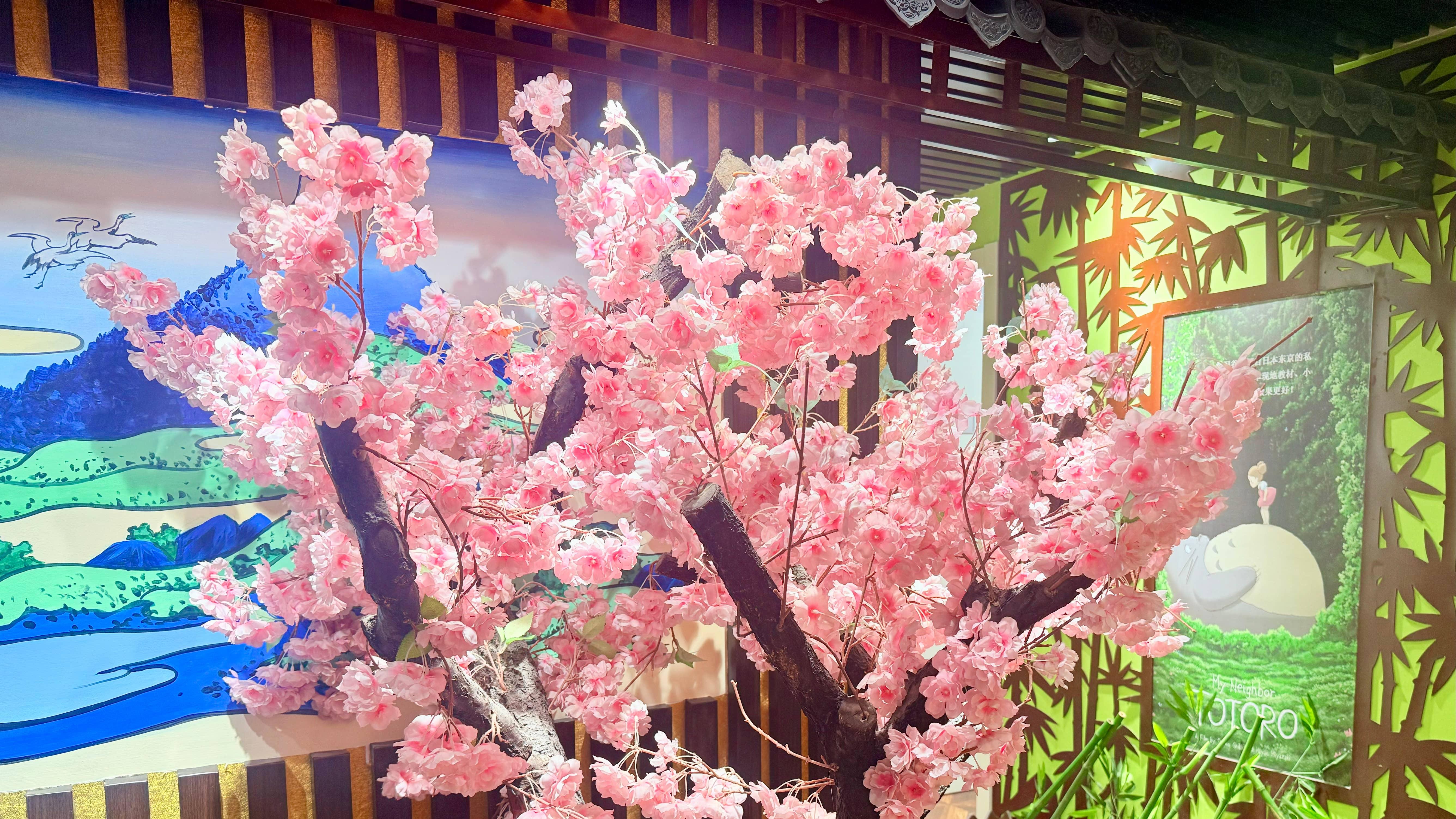 高性价比日语培训怎么选？三大维度教你避开价格陷阱