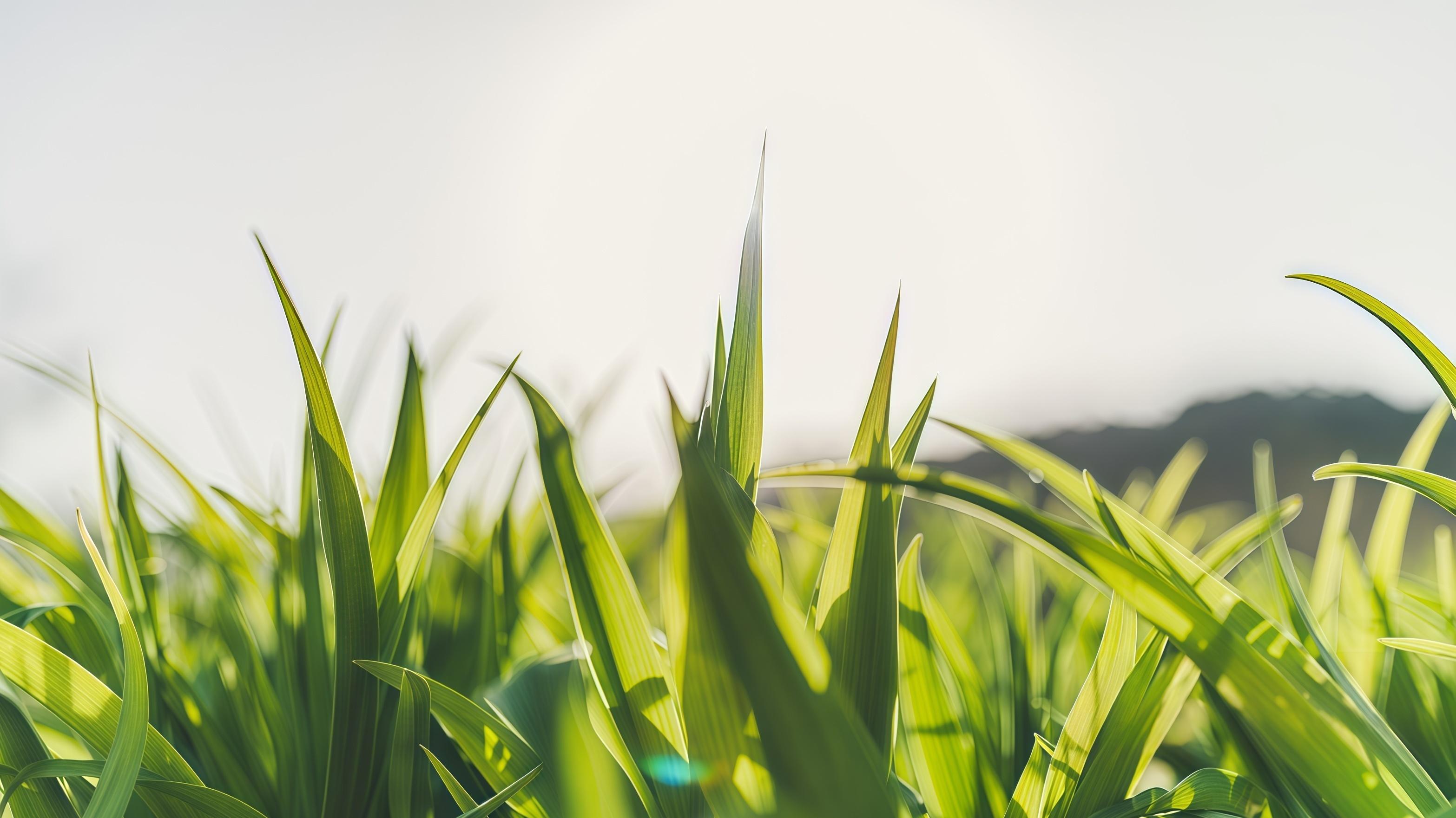 中产不迷“暴富梦”，却越来越会守财富