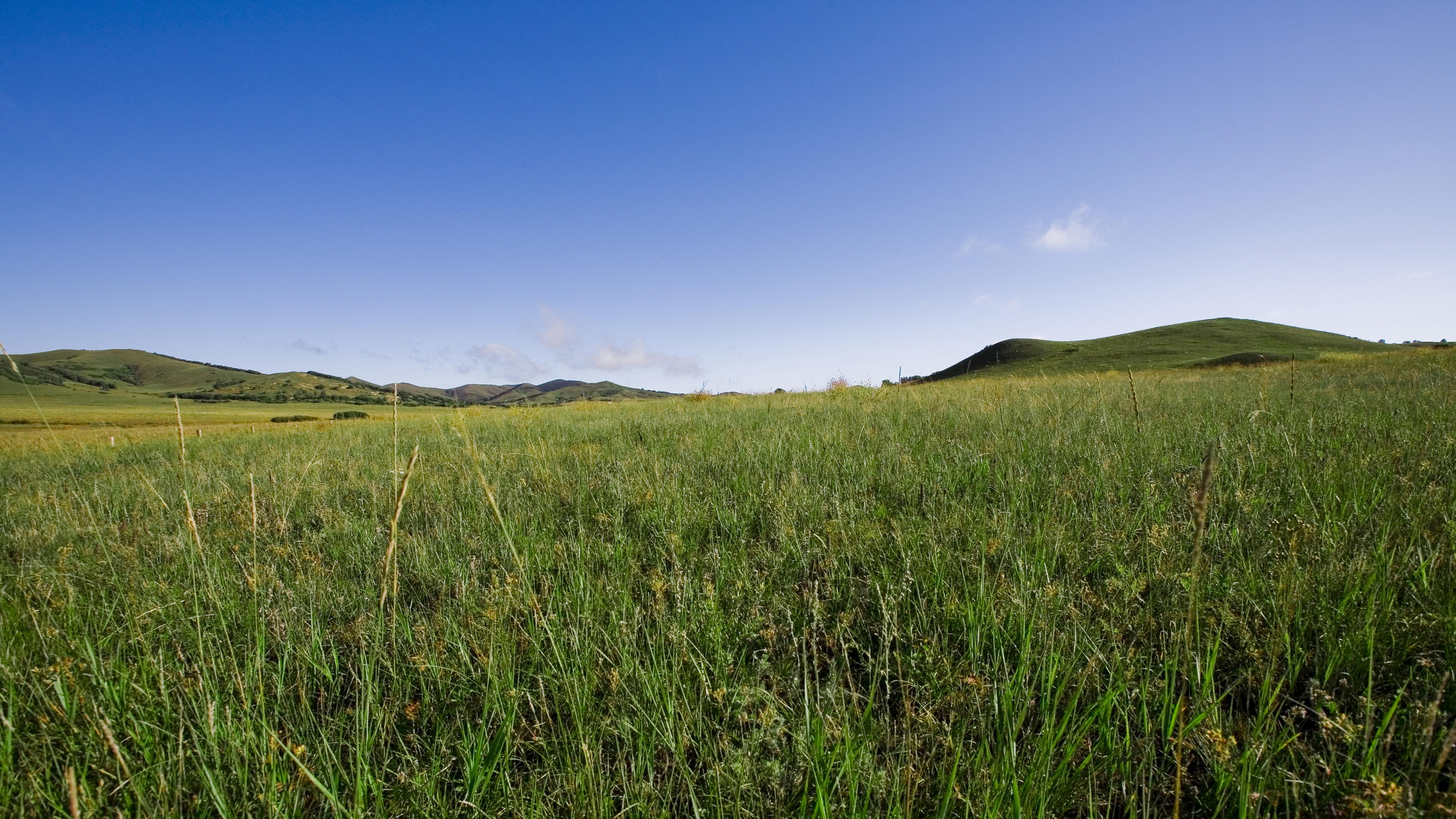 罗马帝国覆亡，还是“美洲帝国”崛起？