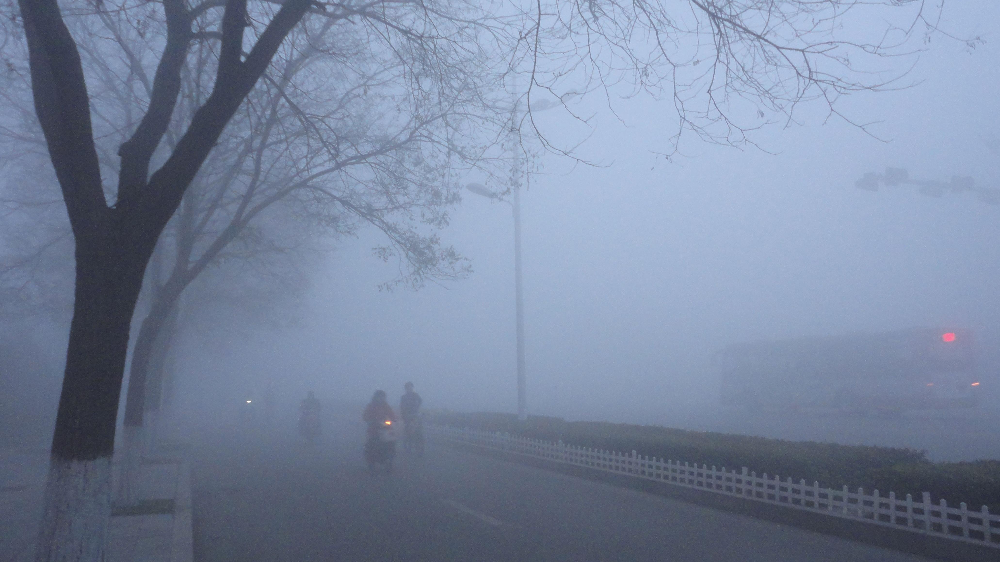 沈阳雾霾天易诱发过敏性哮喘？这样应对更安心