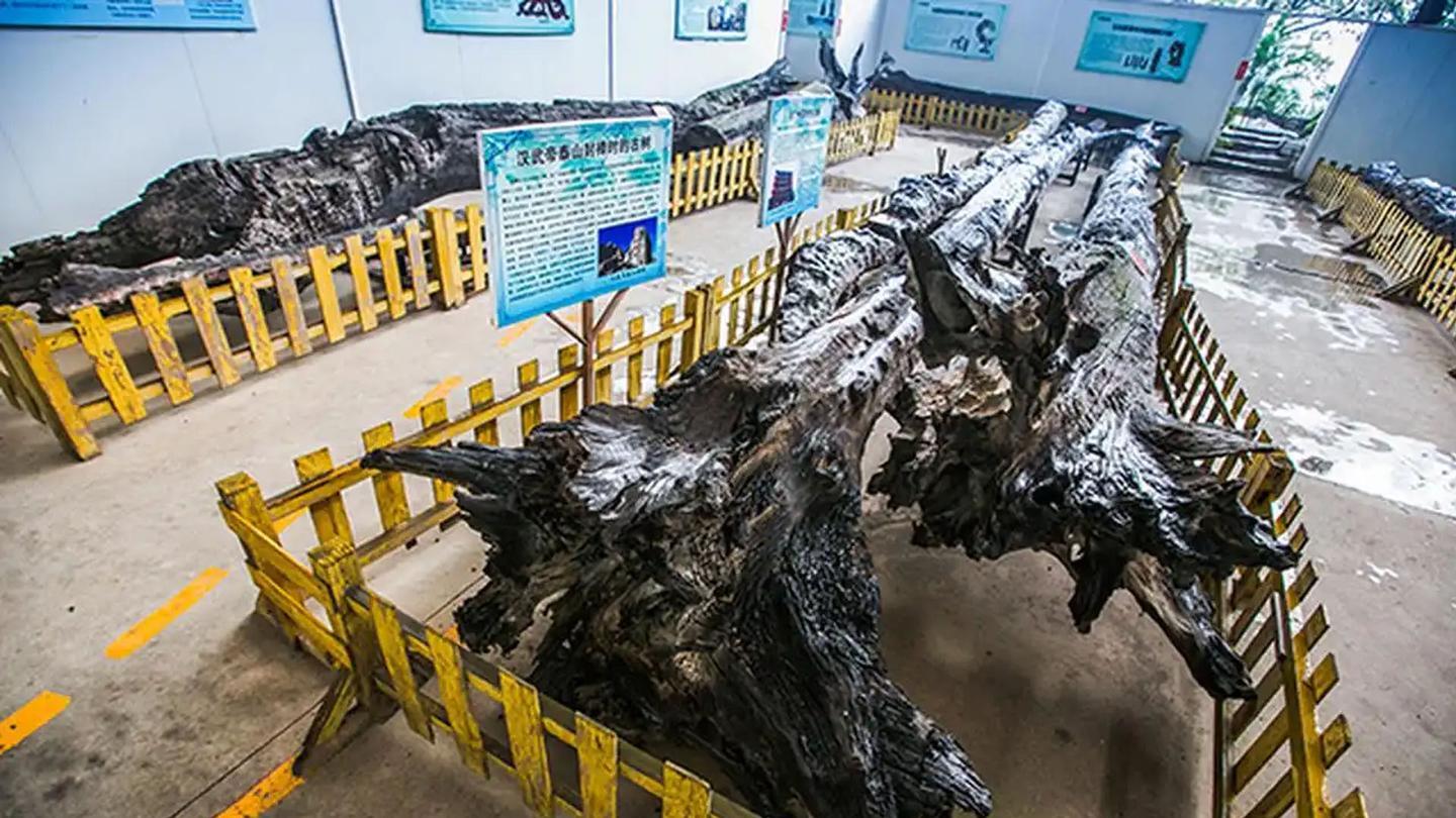 广东观音山发展历程展馆30集系列专题片：第三集 共忆・创园之路