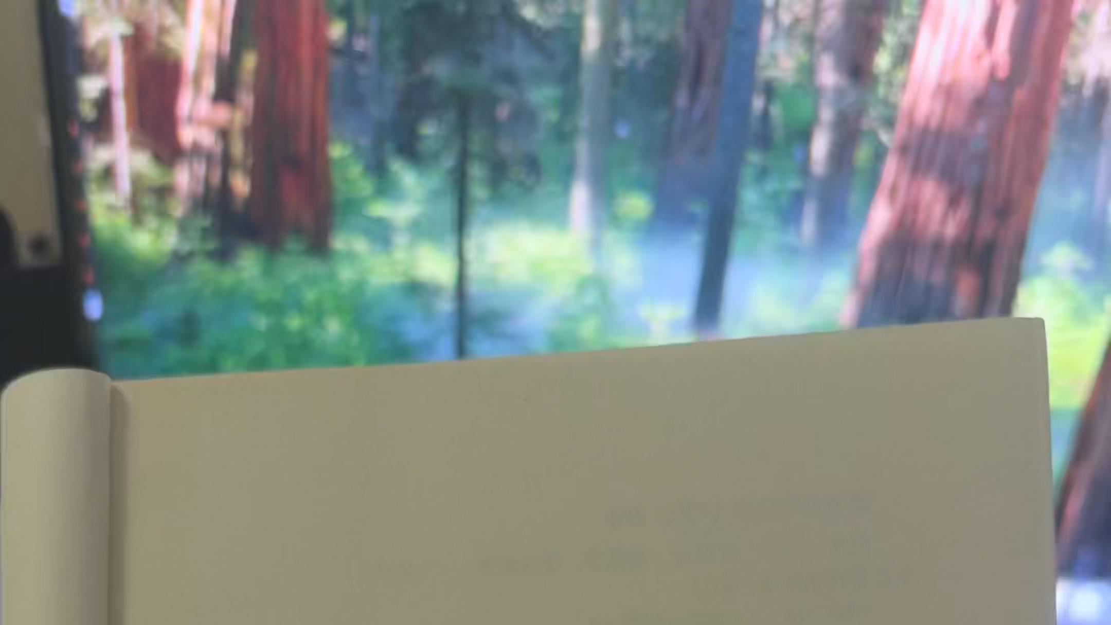 真正的勇气在于接受事实，并继续为生存而努力