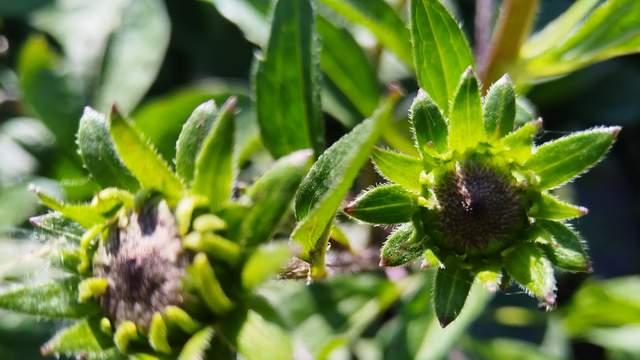 破解3分钟热度，想一出是一出的青春期孩子，家长反向思维很关键