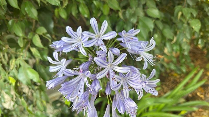 撤侨速度，才是国家能力的真实刻度