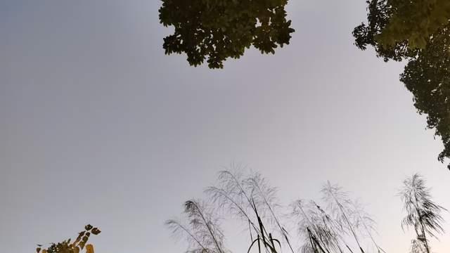 综卦否与泰，盛中见衰防范未然，乱中争先抓住风口的智慧