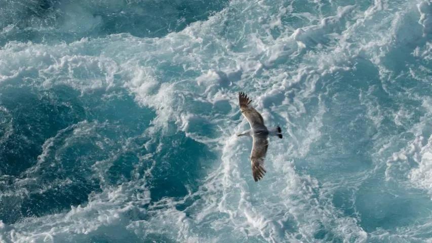 家电短视频引流赛道正卷成红海