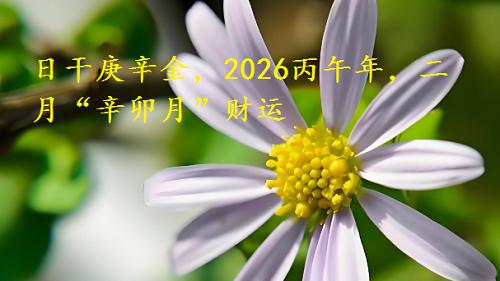 日干庚辛金，2026丙午年，二月“辛卯月”财运