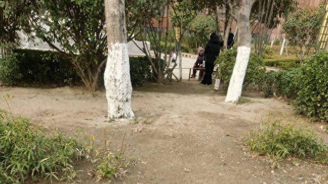 济宁玖玺小区裸露土地无人管 物业失职引不满