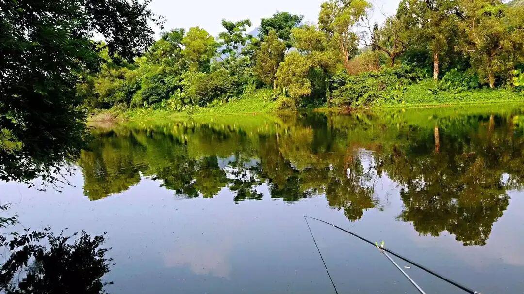 灵钝之间：读懂双钩躺、触、悬的鱼语，让你中鱼率轻松提升80%！