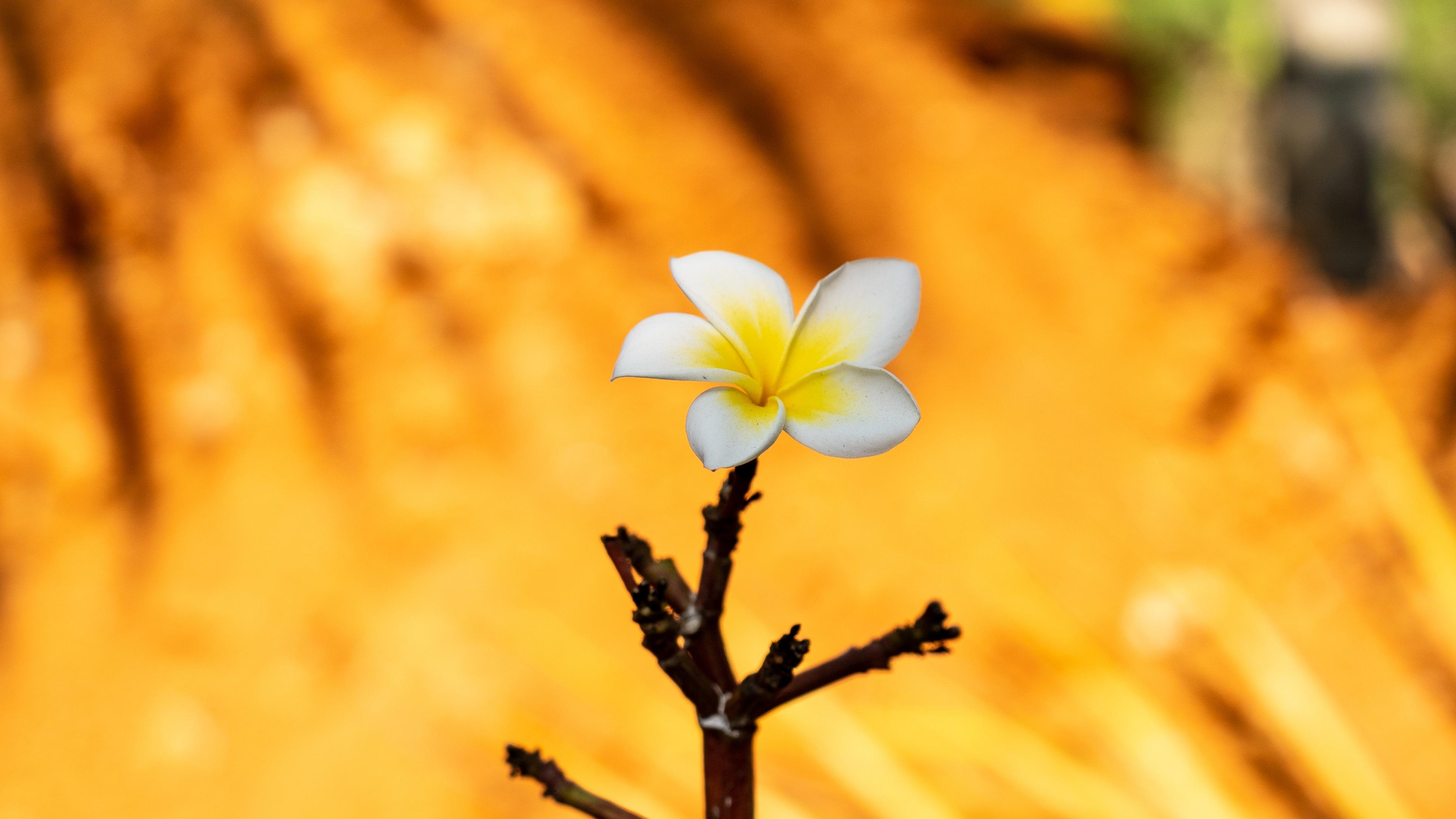 AI销售，产品经理比销售总监更该紧张?