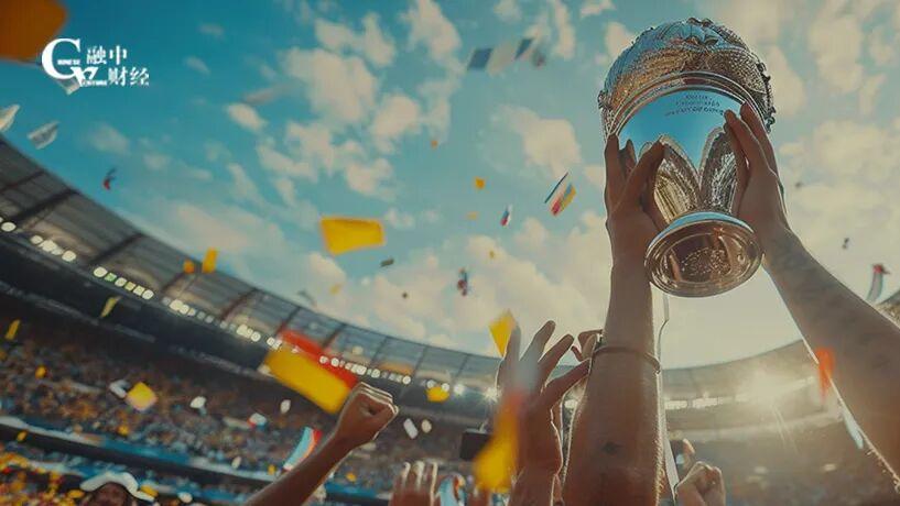 林斌，花8亿投了支NFL球队