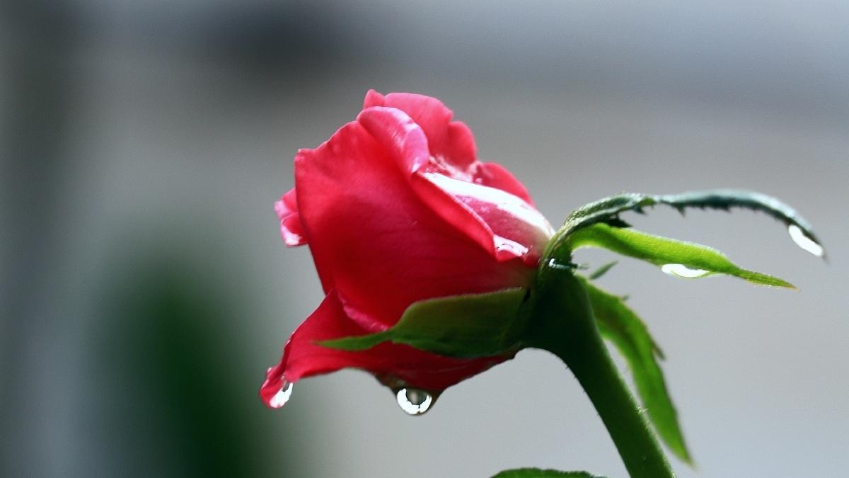 多旁观，少掺和，做个不越界的人