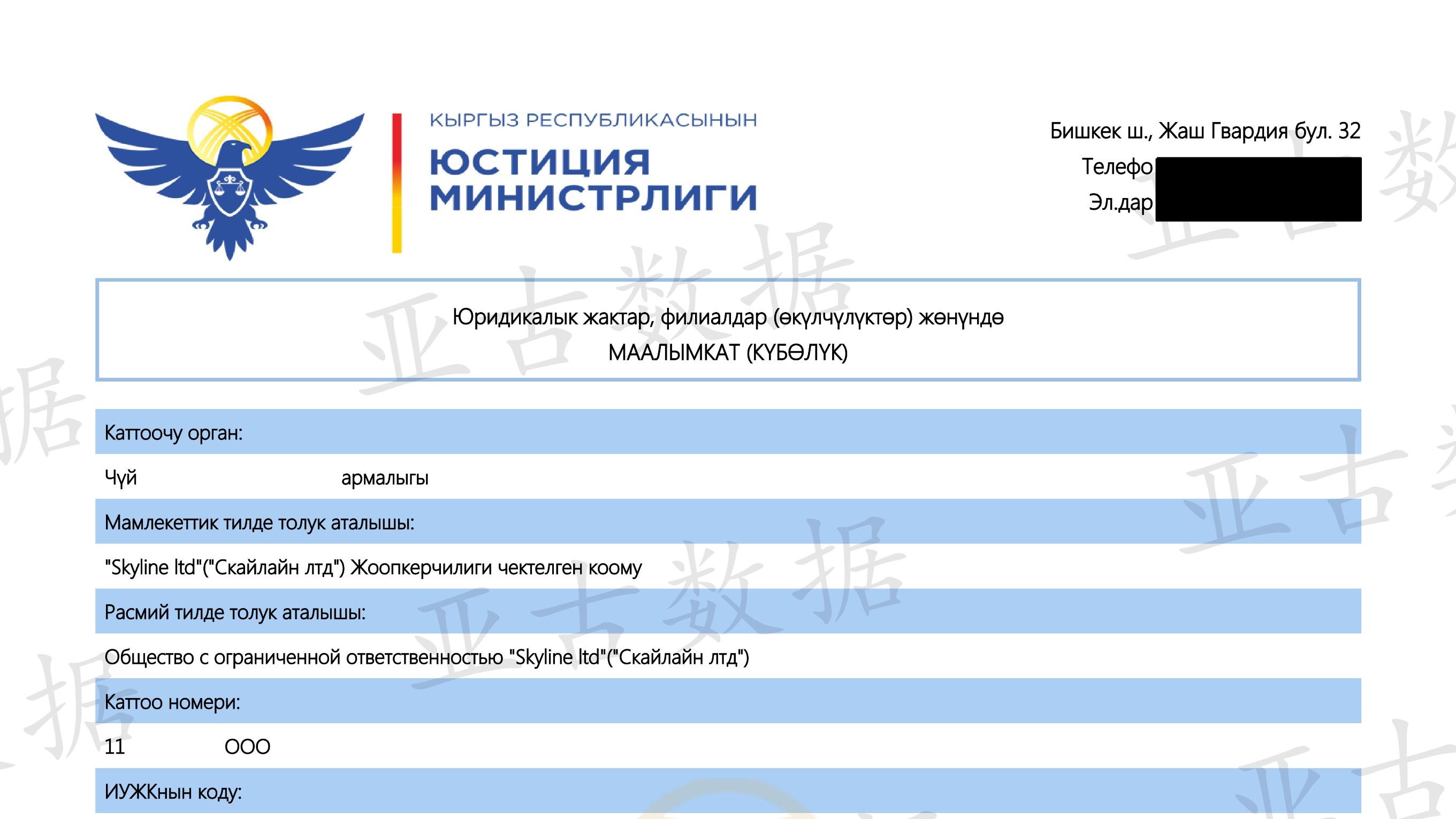 亚古数据：查询吉尔吉斯斯坦公司可以获取什么信息？